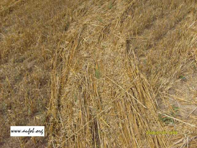 Klikni pre vet�ie zobrazenie