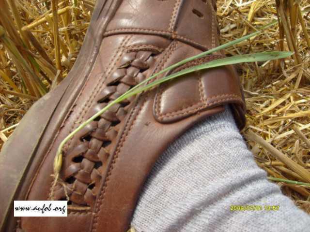 Klikni pre vet�ie zobrazenie