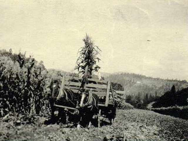Klikni pre väčšie zobrazenie