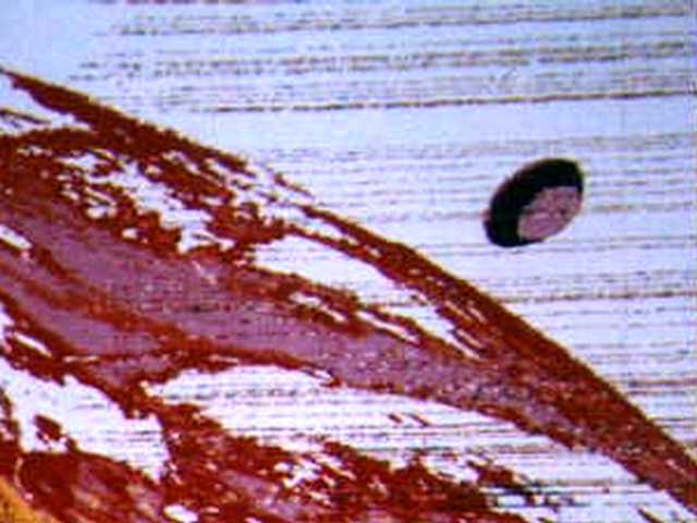 Klikni pre väčšie zobrazenie